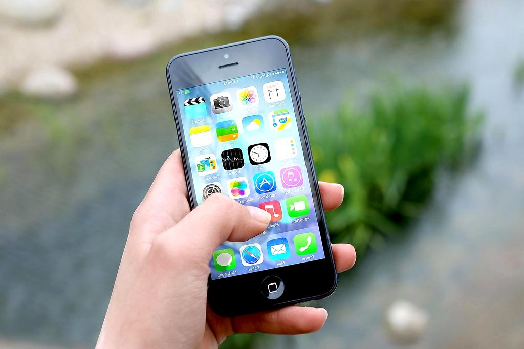 Biometric authentication interface with fingerprint and iris scanning