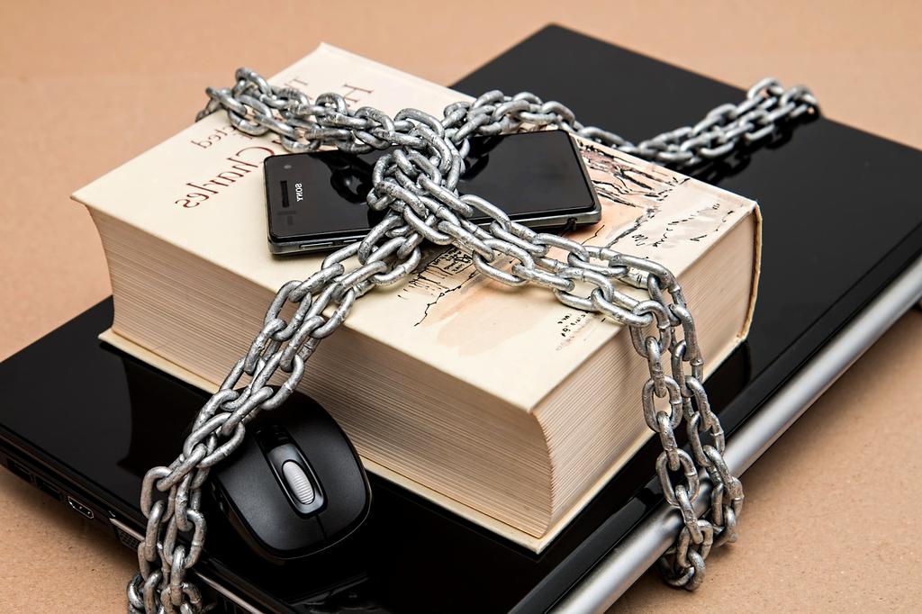 Expert guidance consultation